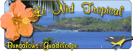 Nid Tropical, location gite et bungalow à Bouillante en Guadeloupe